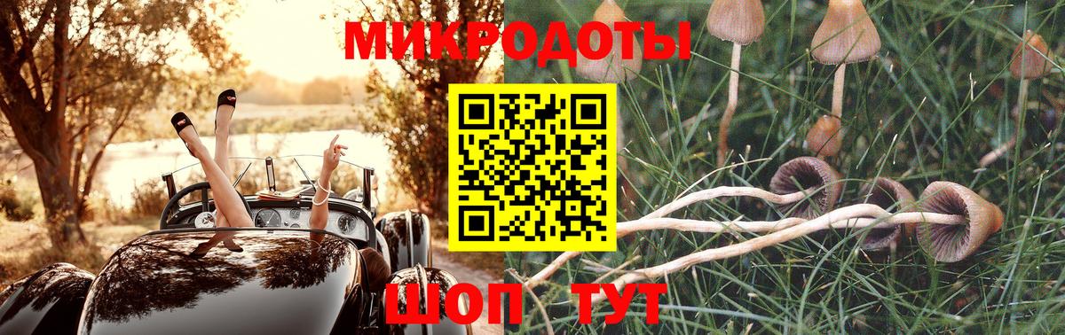 Галлюциногенные грибы прущие грибы  Вход с VPN  Златоуст 